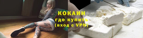 гидра Касимов